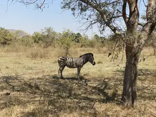 Sarakawa Wildlife Park