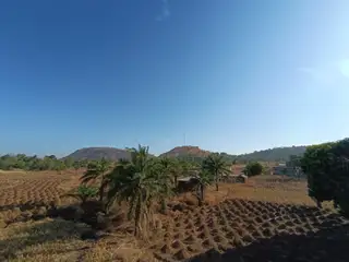 Roof View Legacy